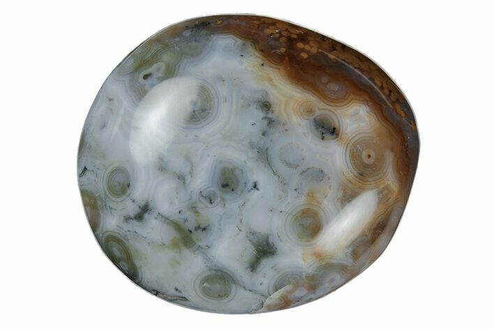 Polished Ocean Jasper Stone - New Deposit #218126
